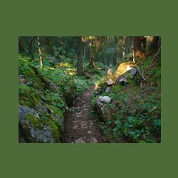2012-08-09_01Fischunkel-Alm_Wasseralm (394).JPG